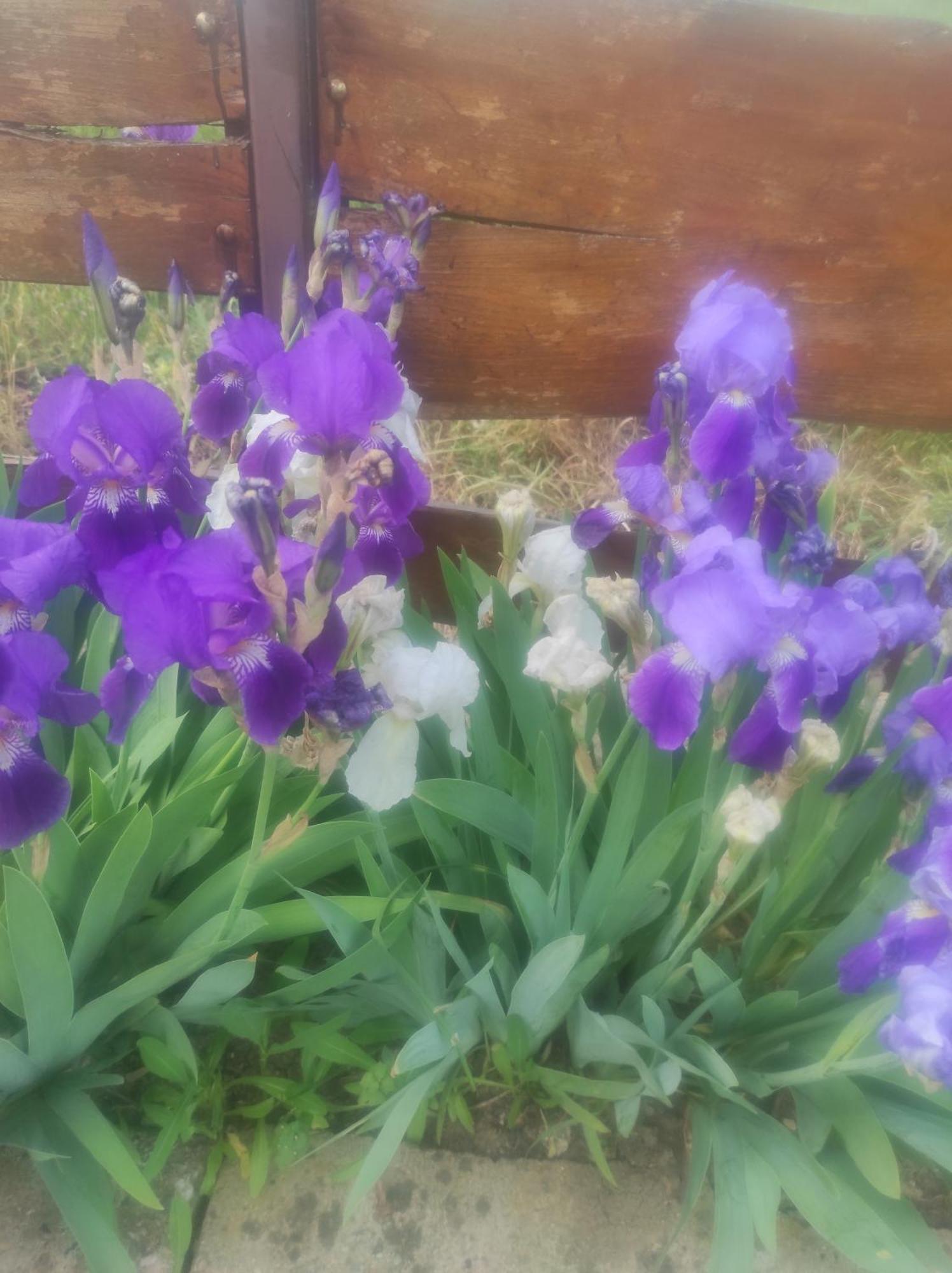 Pensiunea Agroturistica Casa Sirca Boghiş Exteriér fotografie