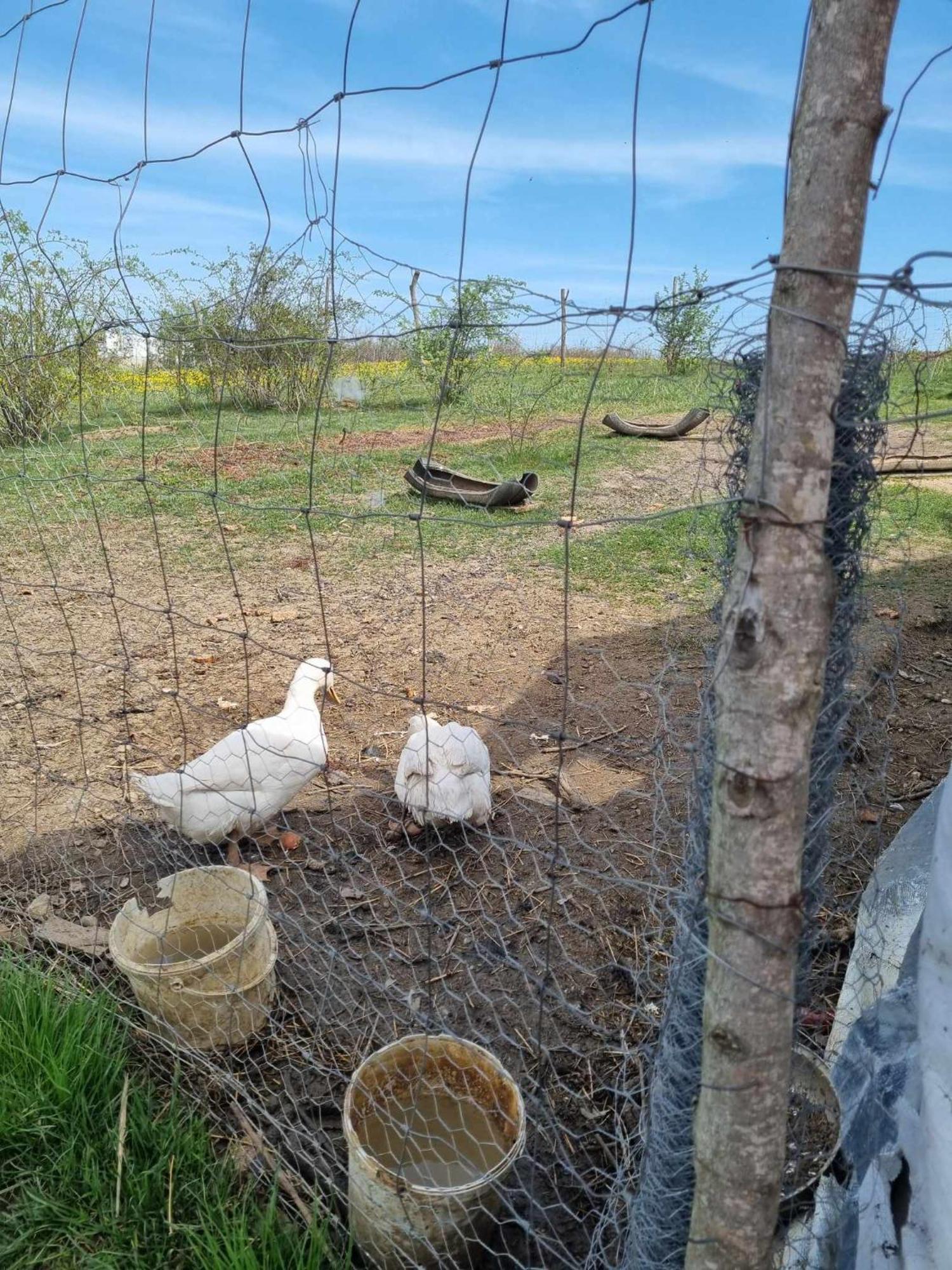 Pensiunea Agroturistica Casa Sirca Boghiş Exteriér fotografie